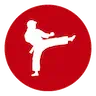 Icône Karate Shotokan Adultes
